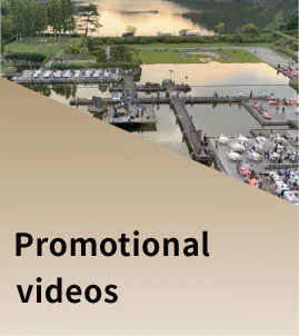Promotional Videos